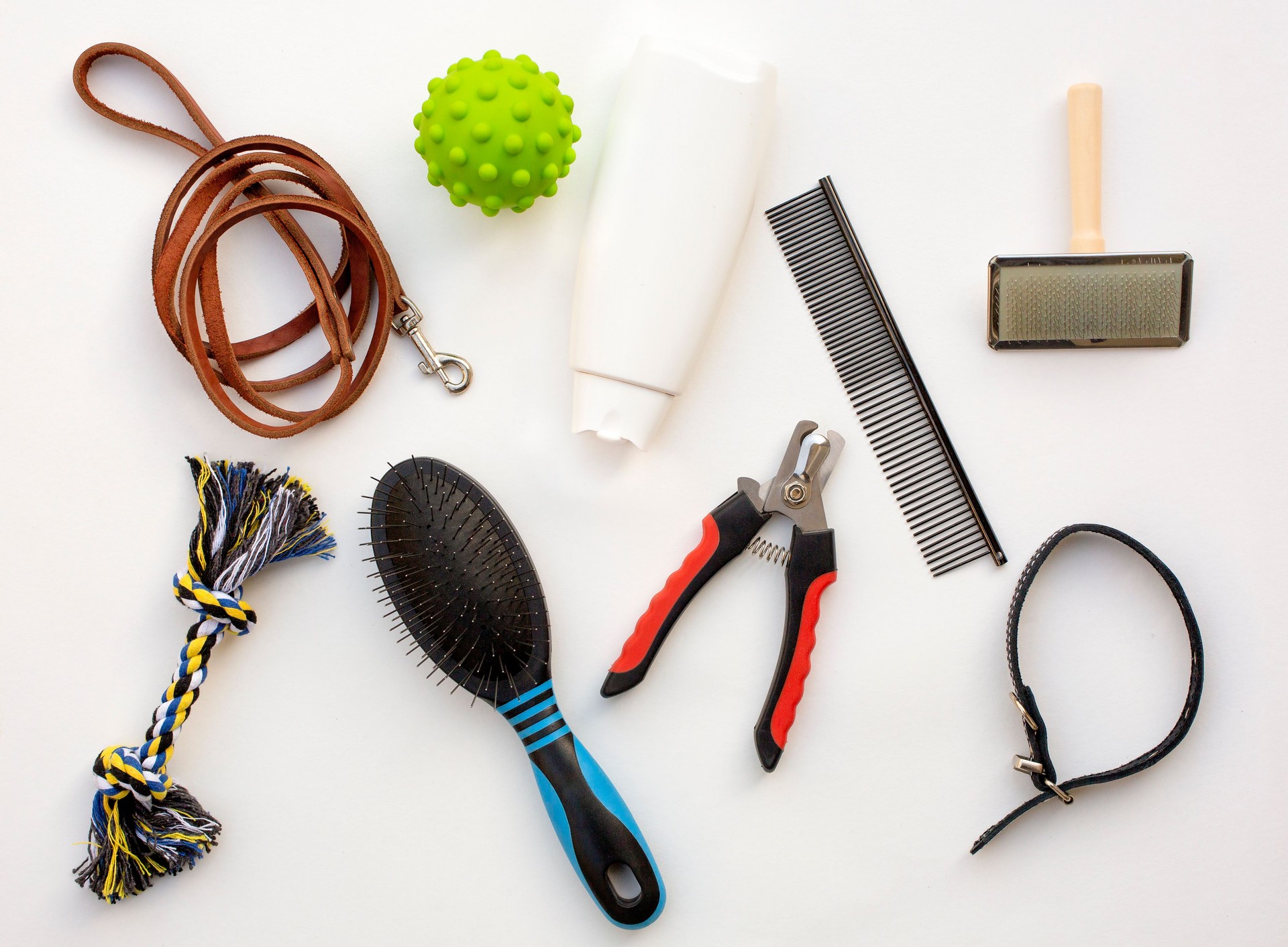 Collection accessories   for walk, play and body care for dog on white table. Top view.